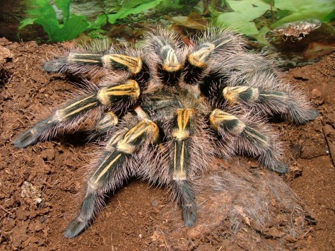 2003_0513IMAGE0679 (2)