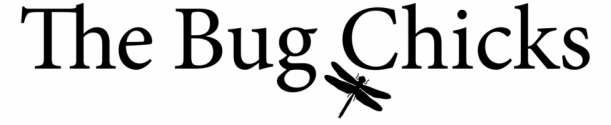 Bug-Chicks-Logo-1-e1450399138671