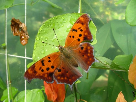 !cid_000a01ca178c$b6d875e0$6701a8c0@ownera6a15d031