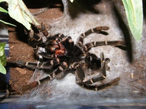 5689_133231633622_5493695_n