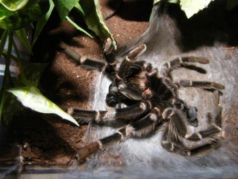 5689_133231638622_8175097_n