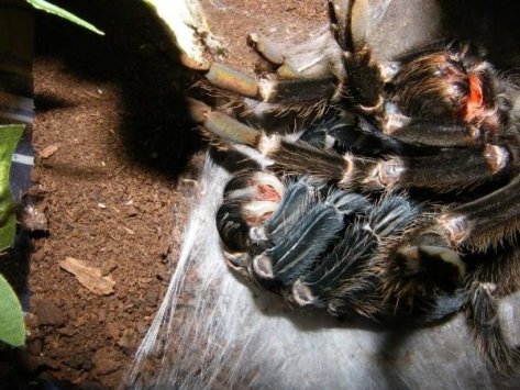 5689_133231653622_4206263_n