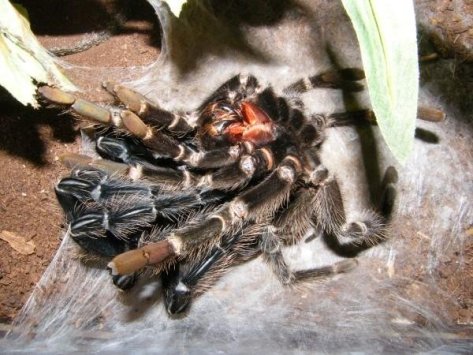 5689_133231658622_5426734_n