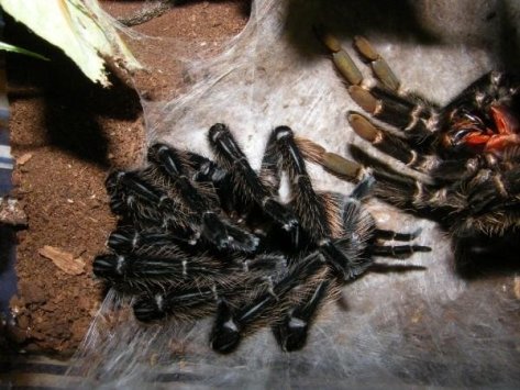 5689_133231673622_5959122_n