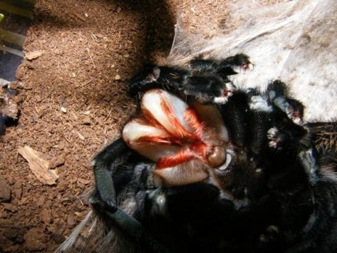 5689_133231688622_8155586_n