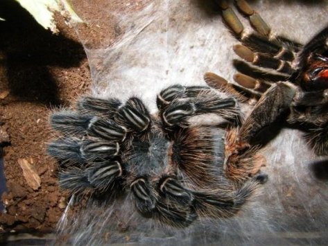 5689_133231818622_5621920_n