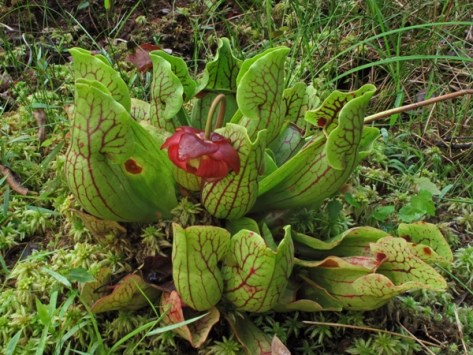 ???????????????????????????????