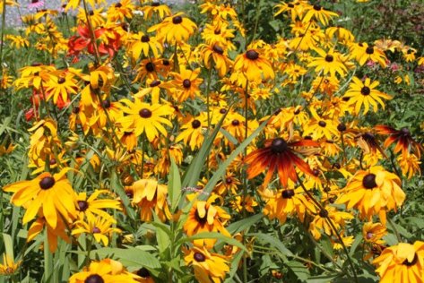 277651_10150314832768623_3961908_o