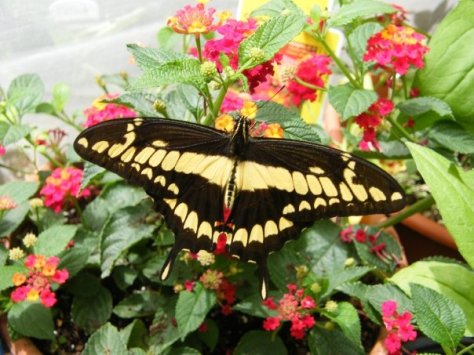 4614_100040033622_7026643_n