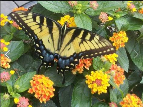 10334392_868905326470022_4792367763281467553_n