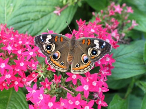 277592_10150321358383623_6244410_oSM