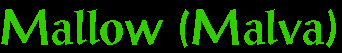 mallow