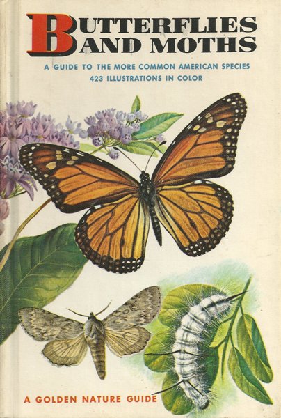 BOOK REVIEW: “Butterflies and Moths: A Guide to the More Common American Species”