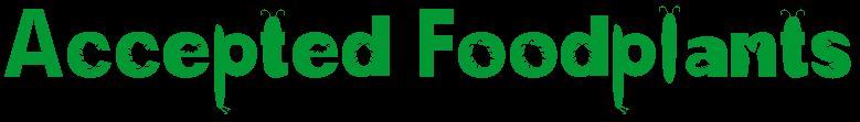 Accepted Foodplants