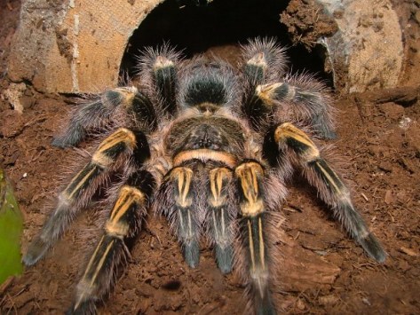 2003_0529Image0001SM