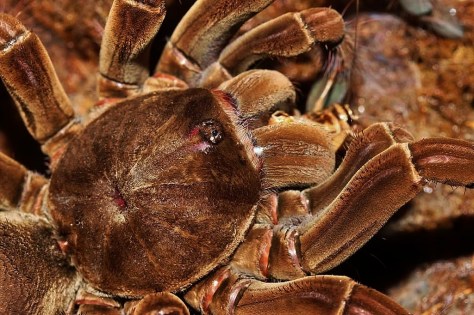 cwvDm9asA_Lw9YsGTQNy8vWzhk4 (2) - Copy