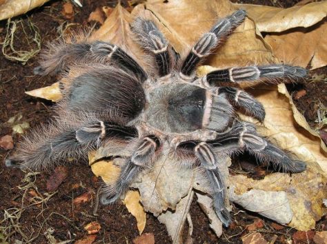 e684c439c00dbad269bc44e1bea5f3b0