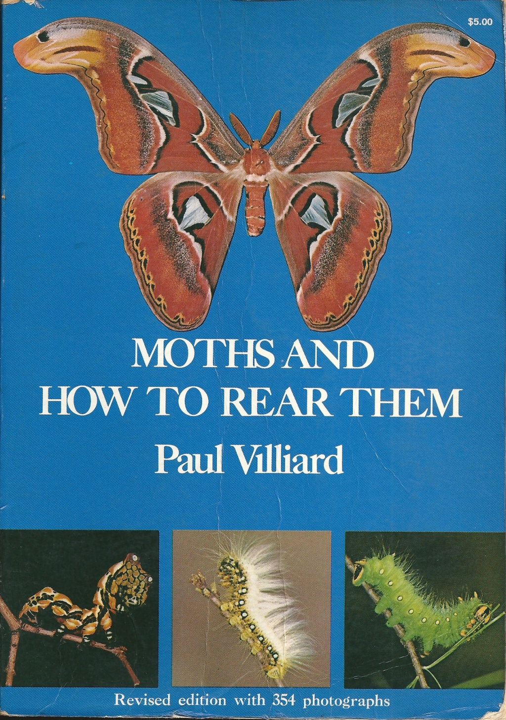 BOOK REVIEW: “Moths And How To Rear Them” by Paul Villiard