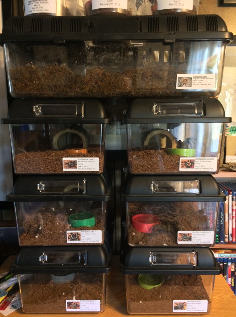 BREEDINGBOX4