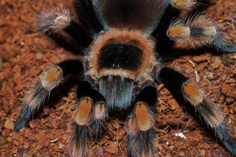 thumbnail_1%20-%20Copy