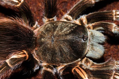 thumbnail_3%20-%20Copy