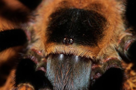 thumbnail_3%20-%20Copy