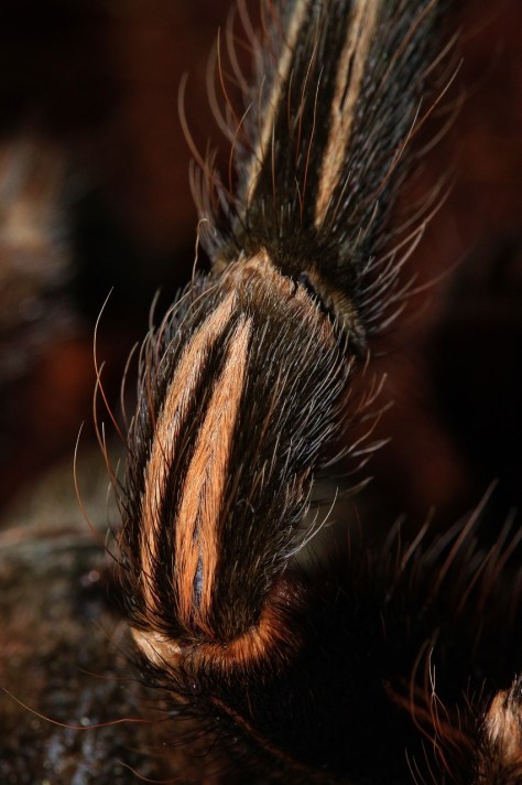 thumbnail_5%20-%20Copy