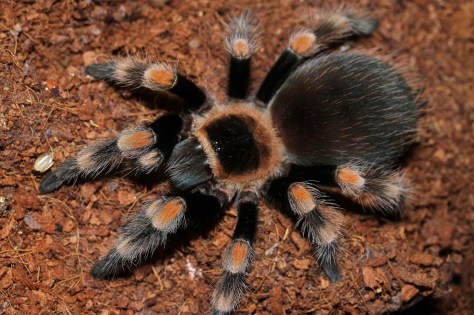 thumbnail_5%20-%20Copy