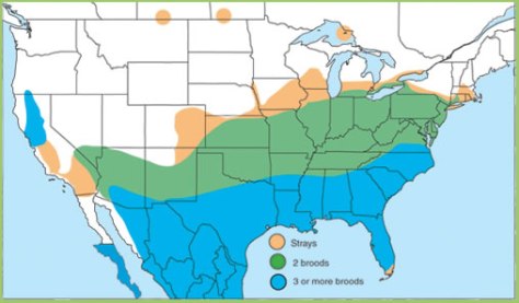 Battusphilenorrangemap