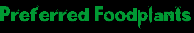 foodplant (2)