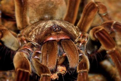 12466266_10153926333493623_4413186775969870368_o