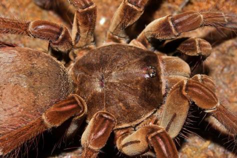 12471488_10153912166828623_615543111865648622_o