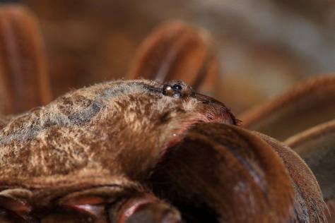 12489202_10153926333768623_1960487473842691141_o