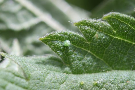 240292_10150241675258623_5621620_o