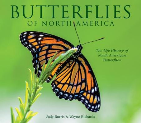 BOOK REVIEW: “Butterflies of North America” by Judy Burris and Wayne&nbsp;Richards
