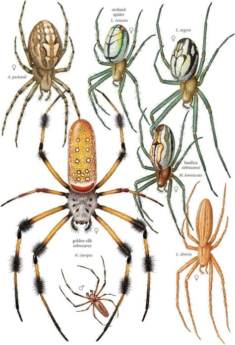 478b63d69642a2eebd6374cbe9c59c7f