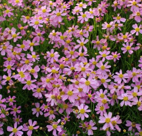 82d7bd58a070b2aa8a736163cd751539