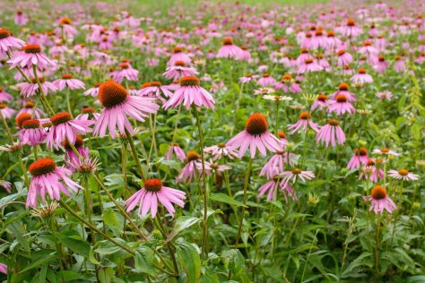 ADP170815_3983_2048x