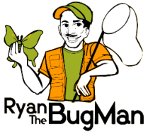 ryan-the-bug-man-logo