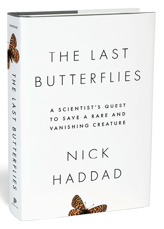 2019-7-Mixed-Media-Book-Review-The-Last-Butterflies-WB