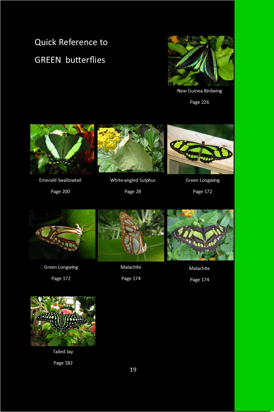 green (1)