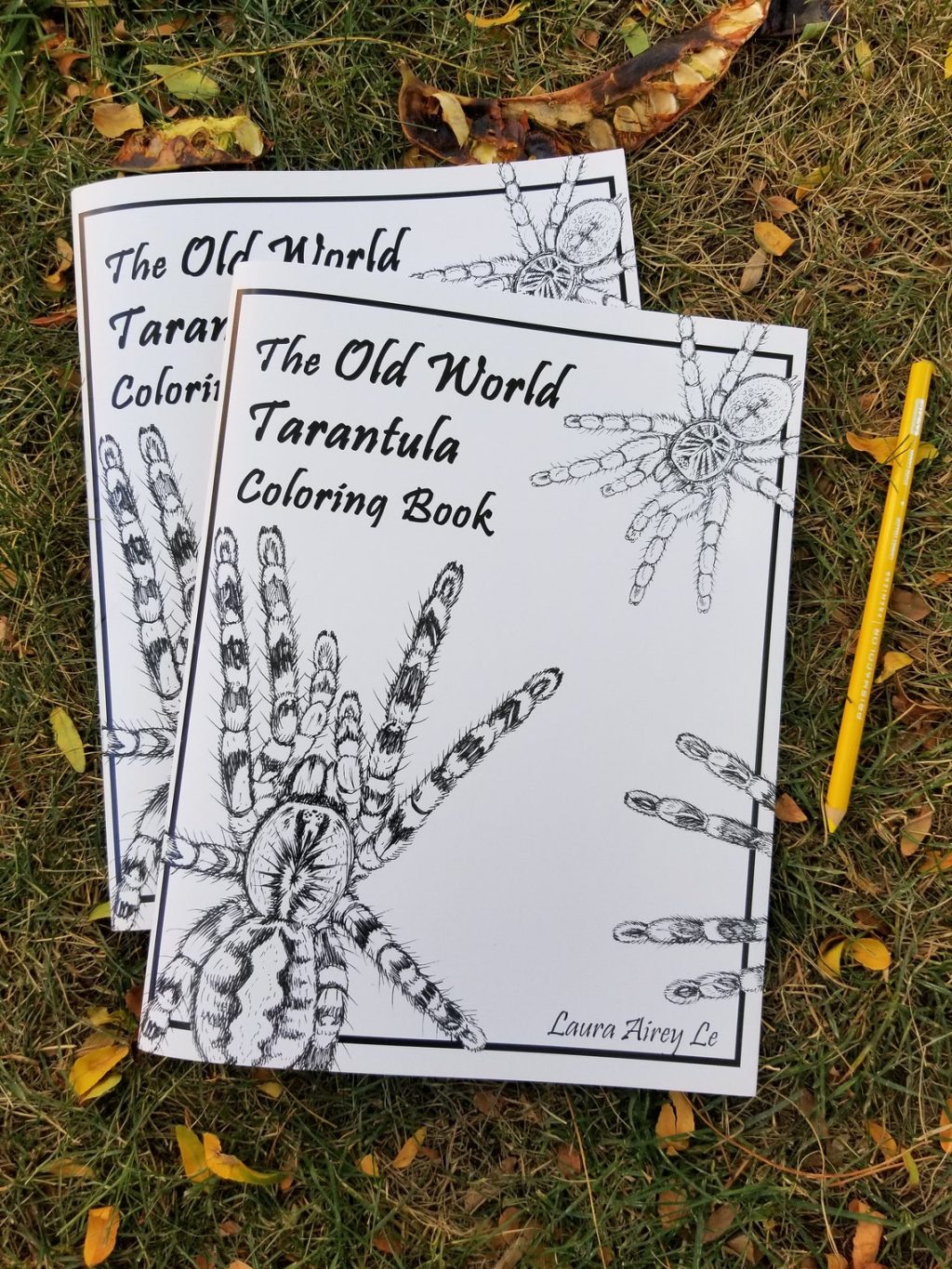 BUGGY BOOK REVIEW: “The Old World Tarantula Coloring Book” by Laura Airey&nbsp;Le