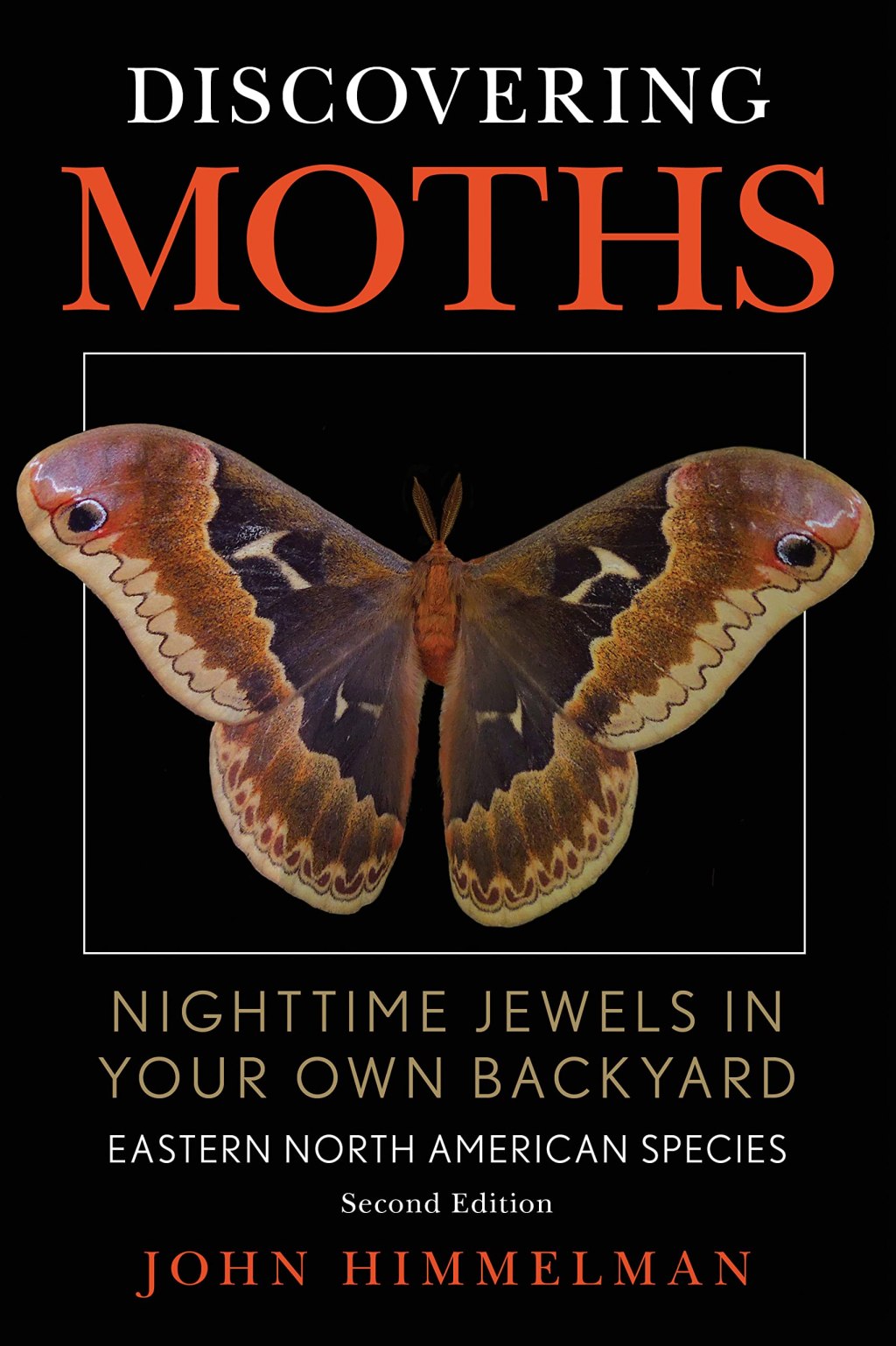 Mysteries Unveiled: Embarking on Nocturnal Adventures with “Discovering Moths: Nighttime Jewels in Your Own Backyard” by Jim&nbsp;Himmelman