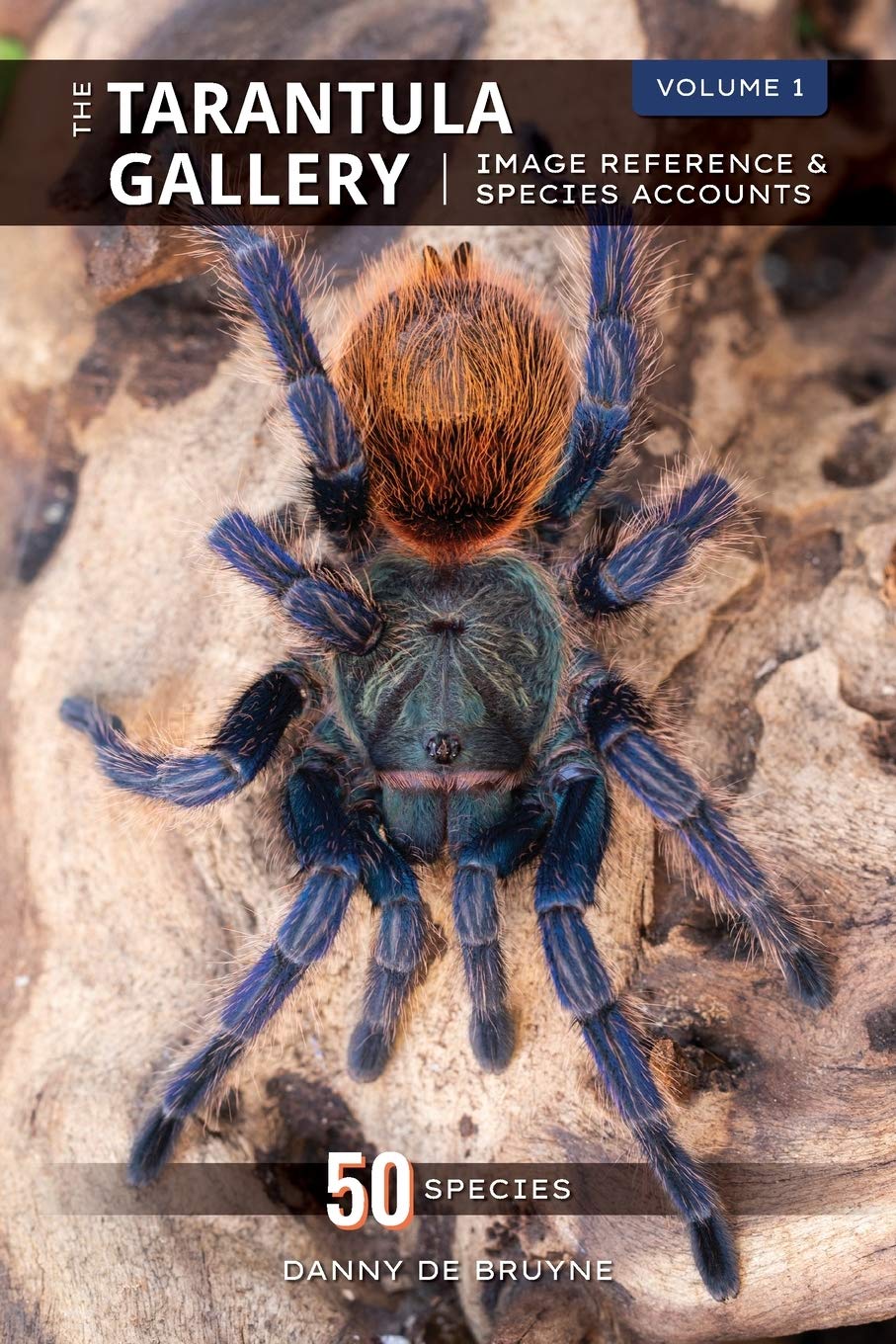 BUGGY BOOK REVIEW: “The Tarantula Gallery: Image Reference & Species Accounts” by Danny de&nbsp;Bruyne