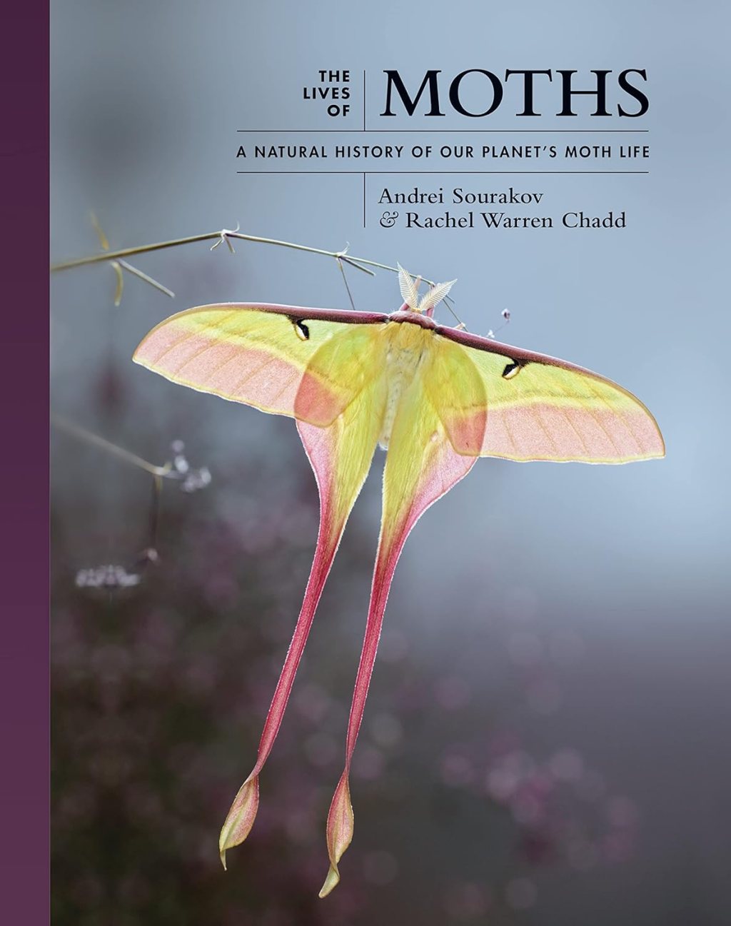 Mysteries of Moths: Illuminating the Night’s Hidden&nbsp;Beauty