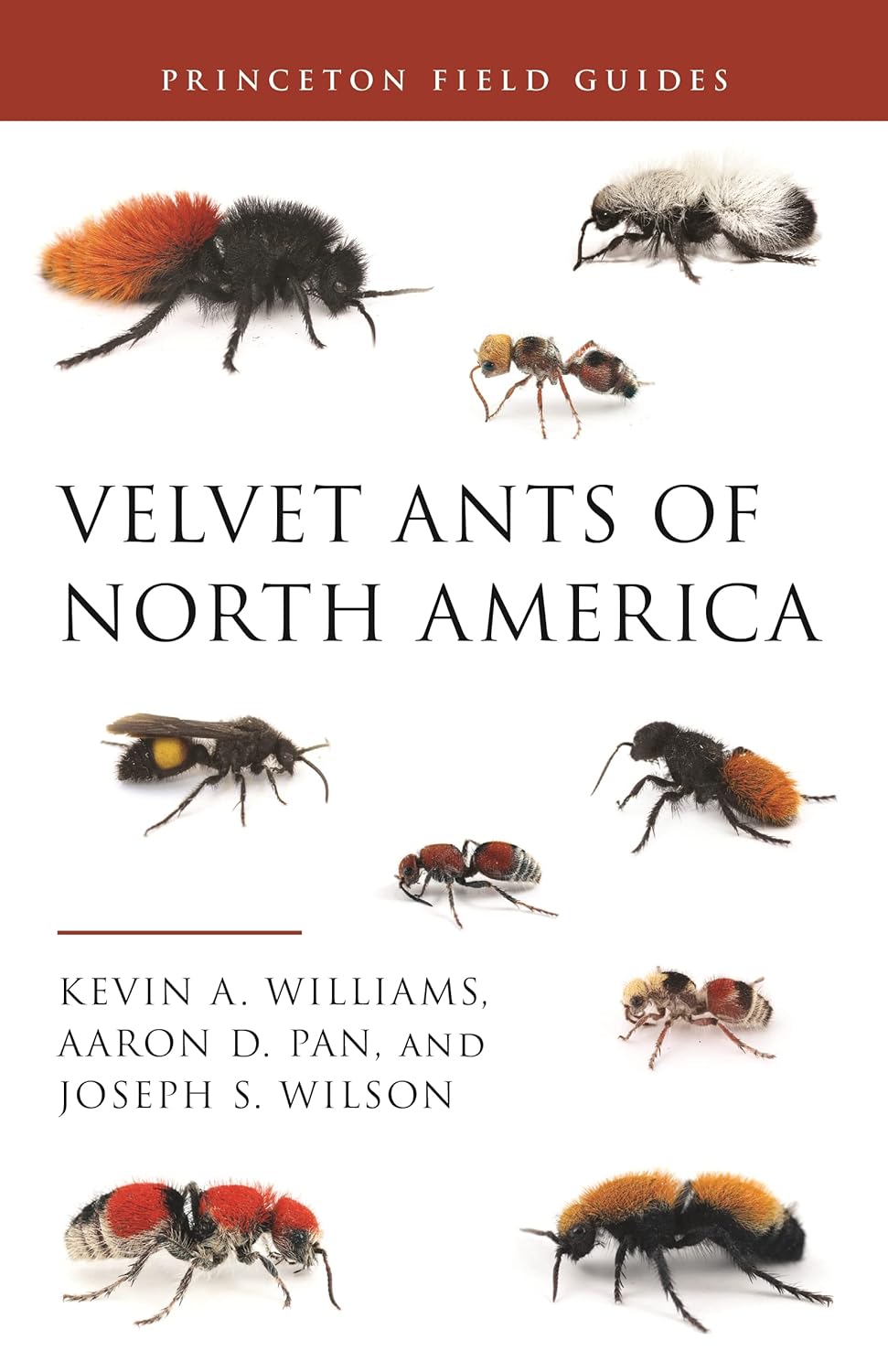 VELVET ANTS OF NORTH AMERICA by Kevin Williams, Aaron D. Pan, and Joseph S. Wilson