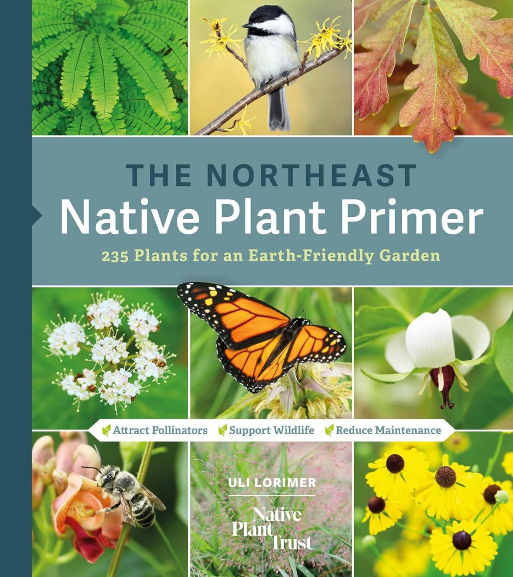 Beyond Beginner: Mastering Northeast Natives with Uli Lorimer’s&nbsp;Primer