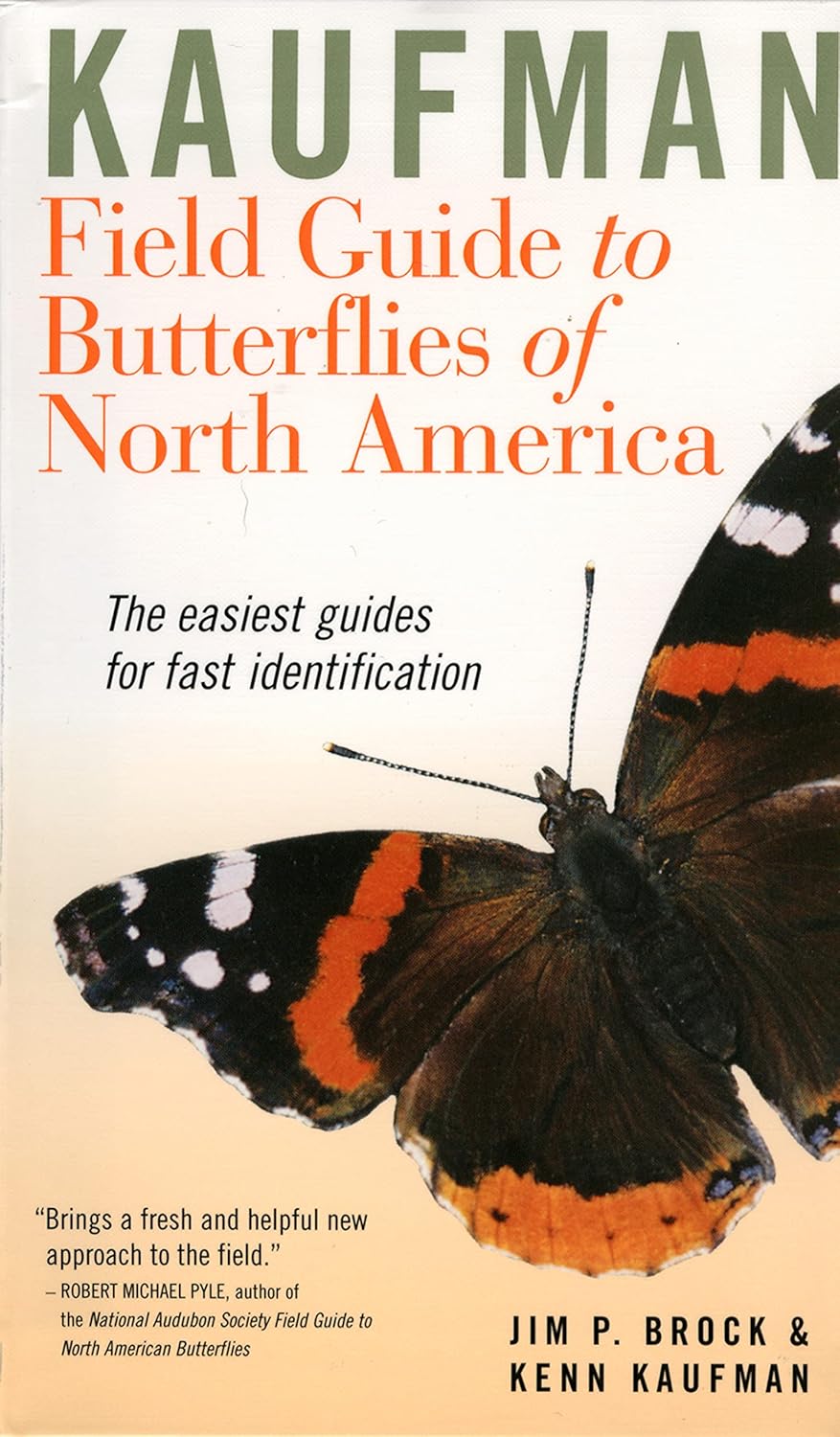 Fluttering Fantastic: A Butterfly Book That Takes&nbsp;Flight