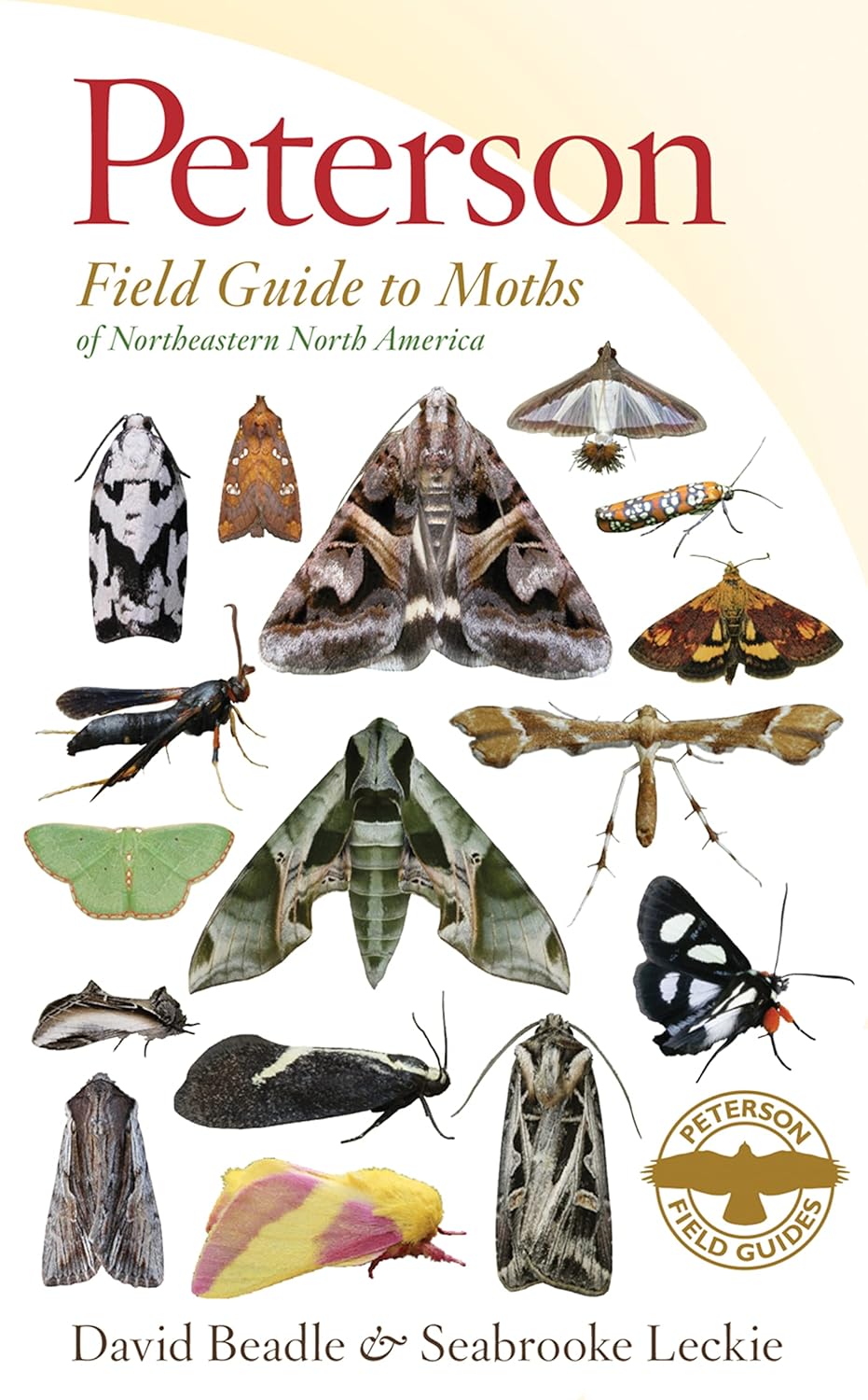 A Moth Enthusiast’s Must-Have: The Peterson Field&nbsp;Guide