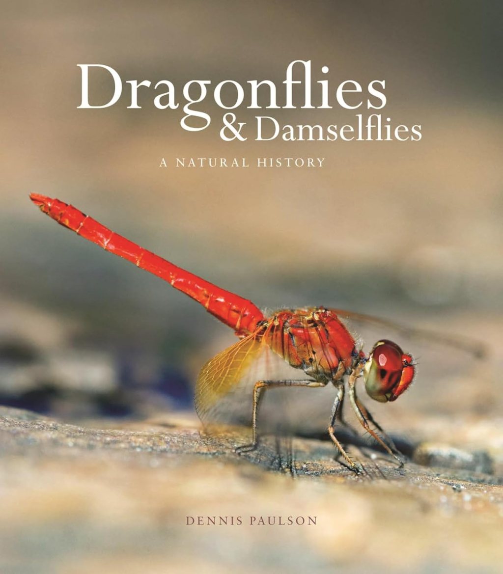 Dragonflies & Damselflies: A Natural History – A Winged Window into a Hidden&nbsp;World